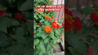 যারা আল্লাহর এই সুন্দর সৃষ্টিকে ভালবাসেন শুধু তারাই এই লাইককমেন্ট এবং চ্যানেলটি সাবস্ক্রাইব করবেন [upl. by Eitra73]