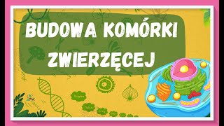 Budowa komórki zwierzęcej  lekcja biologii dla klasy 5 [upl. by Nomelihp]