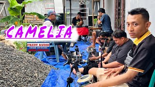 Camelia  FREDY AUDIO PEMALANG [upl. by Aratahc]