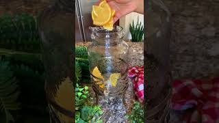 Immunity Booster Detox Water for good health 😁 shorts healthy drink [upl. by Hseham]