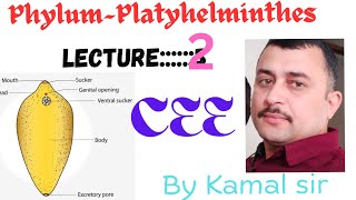 Platyhelminthes phylum  Cee Zoology by Nepali teacher Kamal sir [upl. by Olivier]