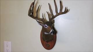 Charlie Norton Whitetail Bronze sculpture [upl. by Roid]