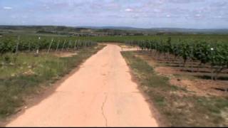 Radfahren und Radtouren in Deutschland  HiwwelRoute [upl. by Nioe747]