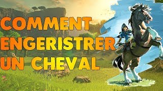 Zelda Breath Of The Wild  Comment Enregeristrer Un Cheval [upl. by Averi]