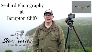 Seabird Photography at Bempton Cliffs [upl. by Baecher878]