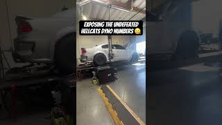 Undefeated Whipple Hellcat dyno numbers EXPOSED 🤐 hellcat mopar shorts [upl. by Aihseyt]