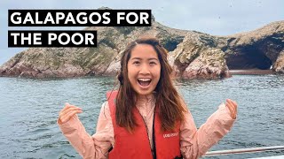 Ultimate Guide to Paracas Peru Best Things To Do and Eat 🇵🇪 [upl. by Rance]