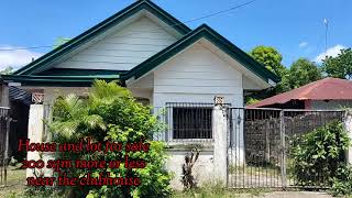 HOUSE AND LOT FOR SALE PILA LAGUNA [upl. by Ppilihp]