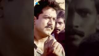 aravindhan movie SarathKumar nagma moviescene bestclip shortvideo shorts [upl. by Nasus435]