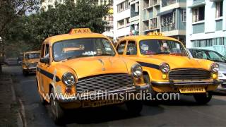 Yellow Hindustan Ambassador Taxi cabs of Kolkata [upl. by Thorvald]