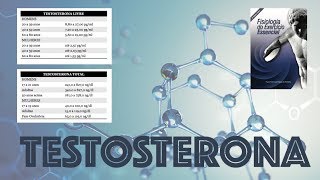 TESTOSTERONA [upl. by Emmer]