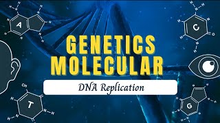 Teori Replikasi DNA  Percobaan Meselson amp Stahl  Proses Replikasi DNA [upl. by Nickolas133]