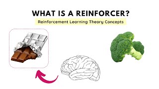 What is a Reinforcer and its types  Reinforcement Learning Theory Operant Conditioning [upl. by Claudie]