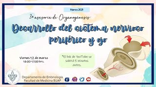 Desarrollo del Sistema Nervioso Periférico y Ojo I Laboratorio de Embriología BUAP [upl. by Oba937]