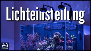 Meine Lichteinstellungen für mein Meerwasseraquarium Kessil A360X  AquaOwner [upl. by Etnud139]