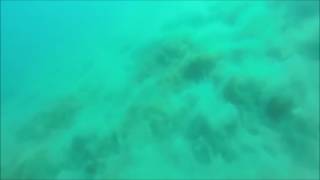 Underwater Earthquake Caught on Camera [upl. by Anehsuc]