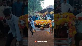 आई श्री नागादेवी पालखी  कोकण शिमगा  kokan shimga  shorts youtube ratnagiri shimga [upl. by Ehudd]