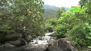 Endosulfan Mannarkkad village under threat [upl. by Hnad403]