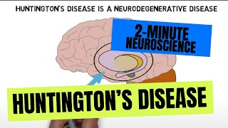 2Minute Neuroscience Huntingtons disease [upl. by Airres]