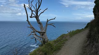 Day 21  Waipu Cove to Mangawhai Heads [upl. by Marilou]