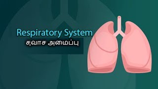 RESPIRATORY SYSTEM IN TAMIL சுவாச மண்டலம் அதன் அமைப்புகள் [upl. by Atnwahsal]