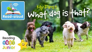 🐶 What Dog Is That 🐕 ReadAloud Book 📖 Kids Nonfiction [upl. by Lidda]