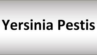 How to Pronounce Yersinia Pestis [upl. by Maurreen]