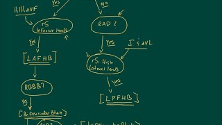 Fascicular Blocks High Yield Reshoot [upl. by Oicnaneb227]