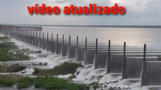 video atualizado açude pacajus sangrando [upl. by Anihcak254]