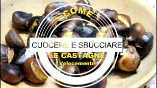 COME CUOCERE E SPELLARE VELOCEMENTE LE CASTAGNE A CASA [upl. by Garceau]