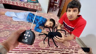 Fake SPIDER Prank 😲 Kunali Dar Gaya [upl. by Ilan771]