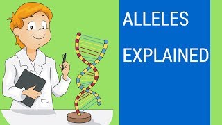 What is an allele   Allele examples [upl. by Duaner126]