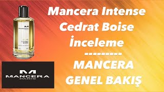 Mancera Intense Cedrat Boise  Mancera Genel Bakış  En İyi Erkek Parfümleri [upl. by Etnoled]