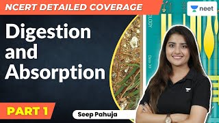 NCERT Detailed Coverage  Digestion amp Absorption  Part  1  NEET 20232024  Seep Pahuja [upl. by Larret]