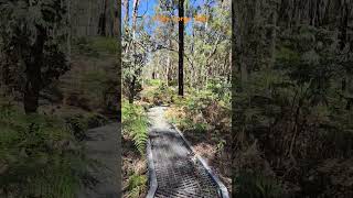 Kitty Gorge Trail Serpentine National Park Perth Hills wildlife australia Perth [upl. by Os811]