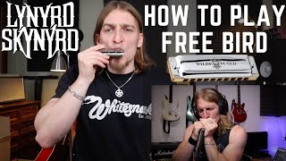 HOW TO PLAY FREE BIRD ON HARMONICA [upl. by Reyam]