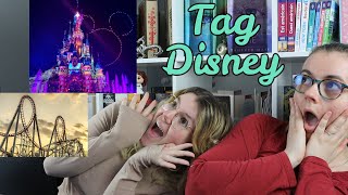 Tag livresque parc dattractions  Disney [upl. by Hillary]