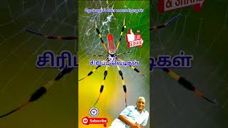 சிரிப்பு வெடிகள்  Thenkachi ko swaminathan kadijokes  09 [upl. by Lurleen]