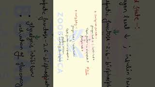 Glycolysis metabolism easy explanation questions [upl. by Ira]