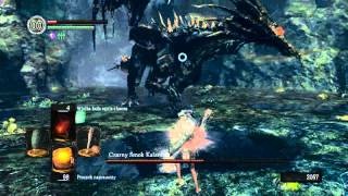 Dark Souls SL1 NG Black Dragon Kalameet [upl. by Isador]