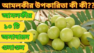 আমলকির উপকারিতা  Amlokir Upokarita  Amlokir Gunagun  Amloki Khele Ki Hoy [upl. by Laurentium]