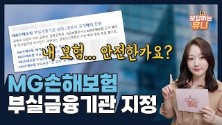 MG손해보험 부실금융기관 지정  내 보험 안전한가요 유니가 체크해드립니다 [upl. by Aitsirhc]