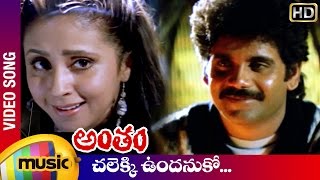 Antham Telugu Movie Songs  Chalekki Undanuko Video Song  Nagarjuna  Urmila  RGV  Mango Music [upl. by Dinse]