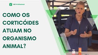 Farmacologia Veterinária Anti Inflamatórios Esteroidais [upl. by Ujawernalo]