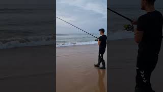 🌅 daiwa shimano surfcasting rockfishing [upl. by Longmire]