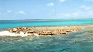 Exploring Walker Reef near Hinchinbrook Island  aboutfishingnqcom [upl. by Frederica583]