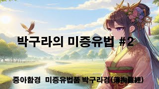 박구라의 미증유법  중아함경中阿含經 미증유법품未曾有法品 박구라경薄拘羅經  2 [upl. by Domonic]