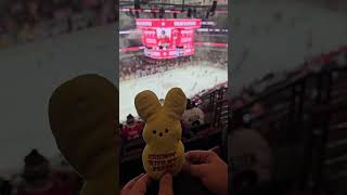 Peep goes to a BlackHawks game GO Hawks PeepNation [upl. by Htesil]