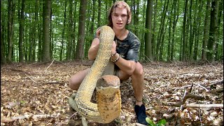 Surviving a KING COBRA BITE in BORNEO [upl. by Spearing33]