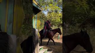 Headless Horseman at Ulster Park halloween spooky haunted [upl. by Ahsekahs141]